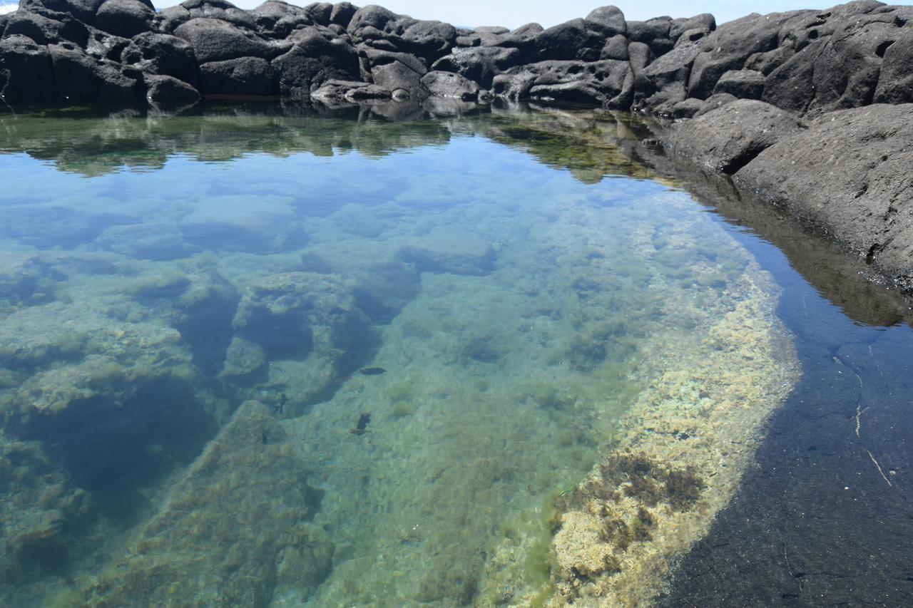 Corail Azur Terre Sainte Lägenhet Exteriör bild
